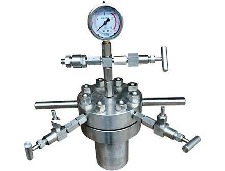 CF 简易不锈钢耐压反应釜