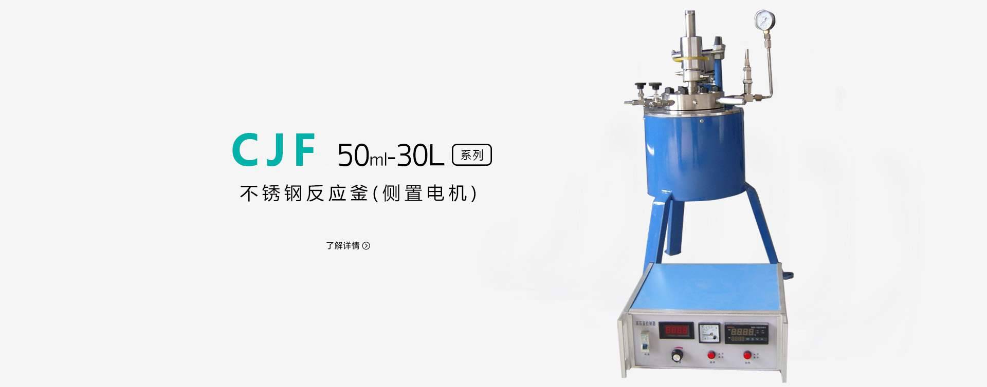 CJF-100ml高压反应釜图片