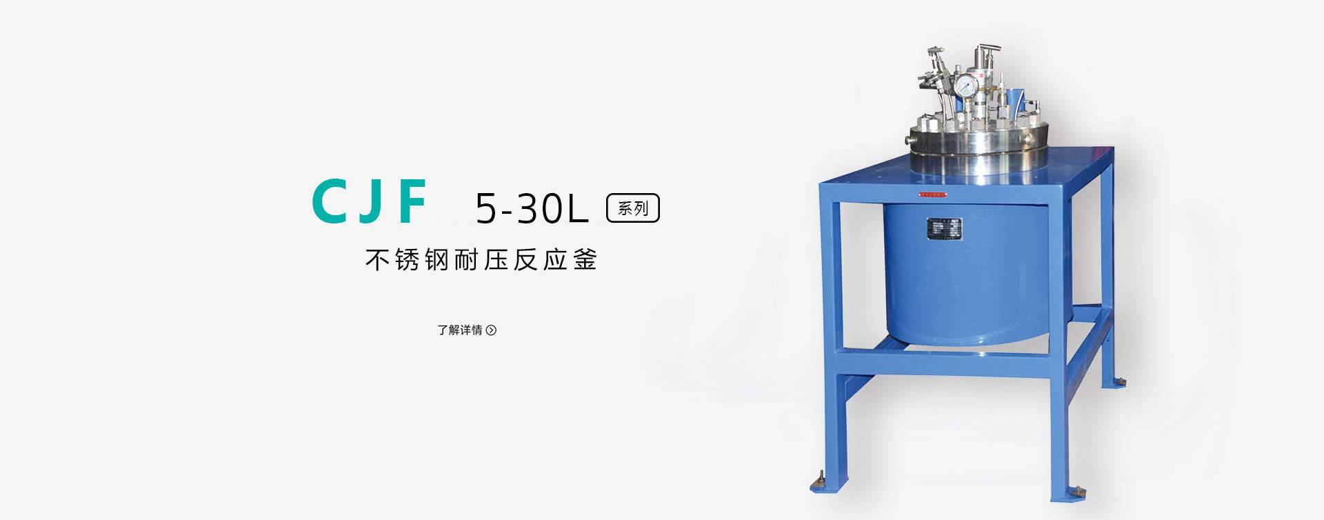CJF-1L不锈钢高压反应釜图片