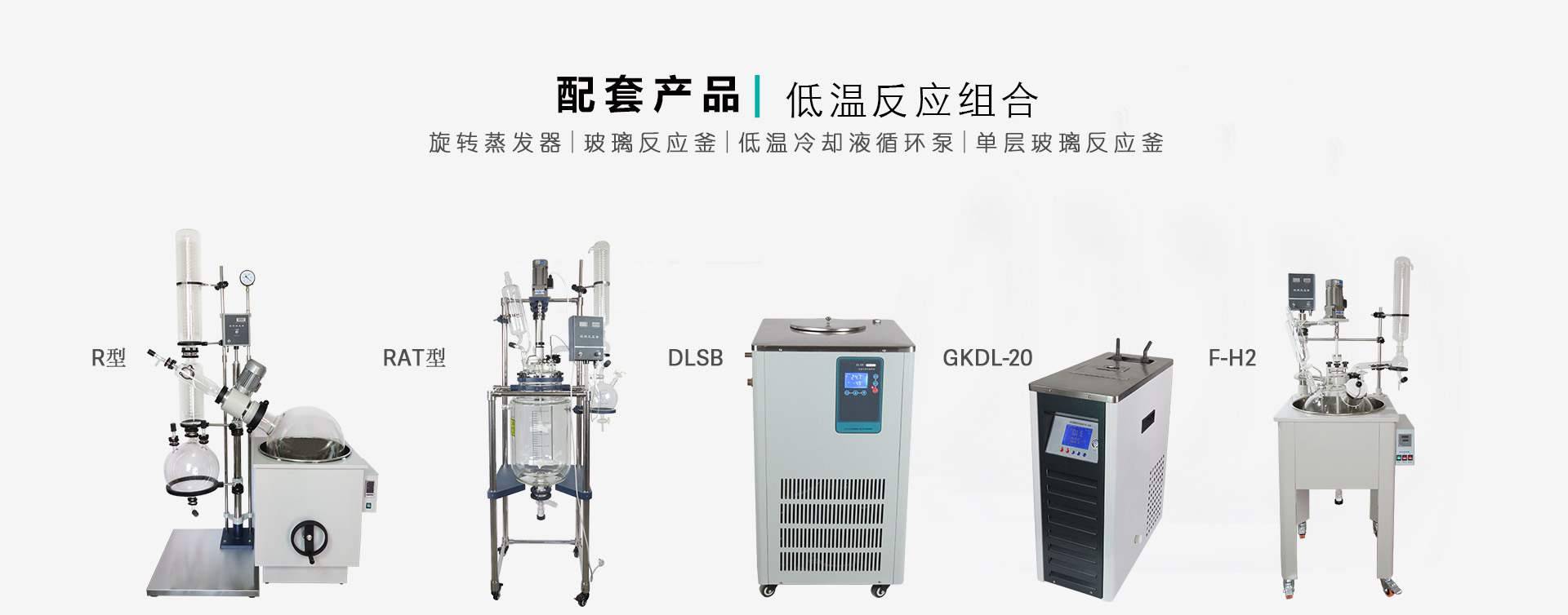 DLSB-100L/-80℃低温冷却循环泵图片