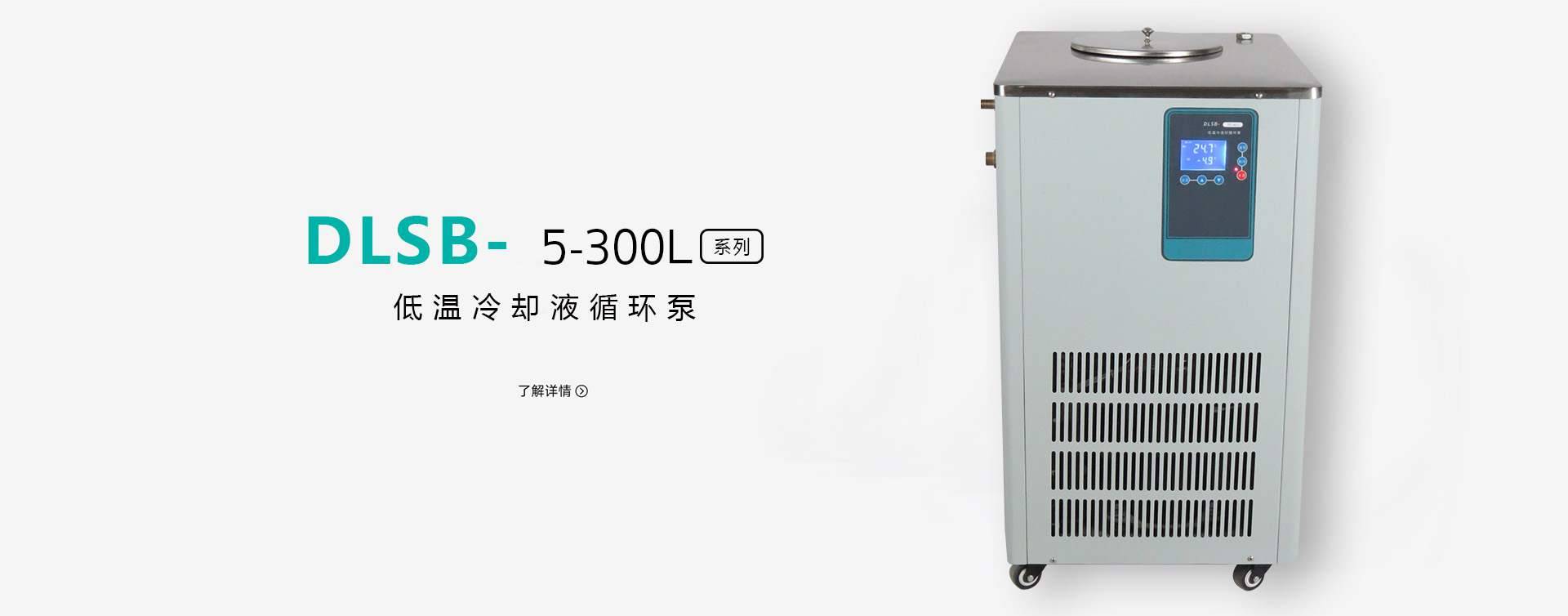 DLSB-50L/-20℃低温冷却循环泵图片