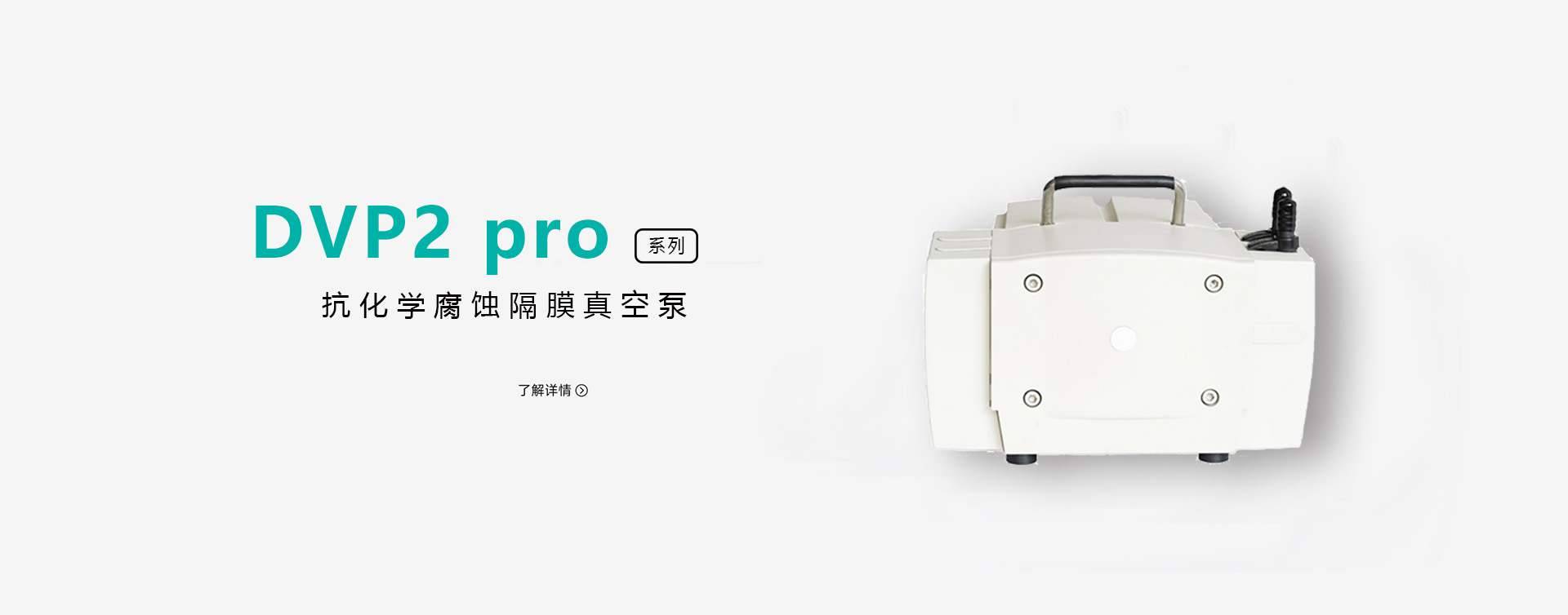 DVP2 pro抗化学腐蚀真空管泵图片